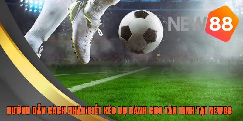 kèo dụ